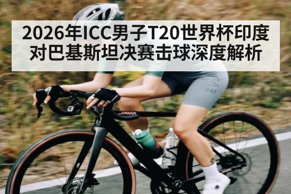 2026年ICC男子T20世界杯印度对巴基斯坦决赛击球深度解析